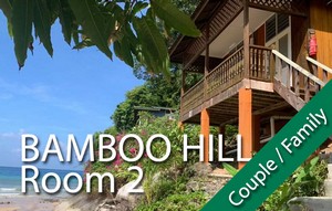 BAMBOO HILL - Room #2 - 1 x double bed + 1 x single bed